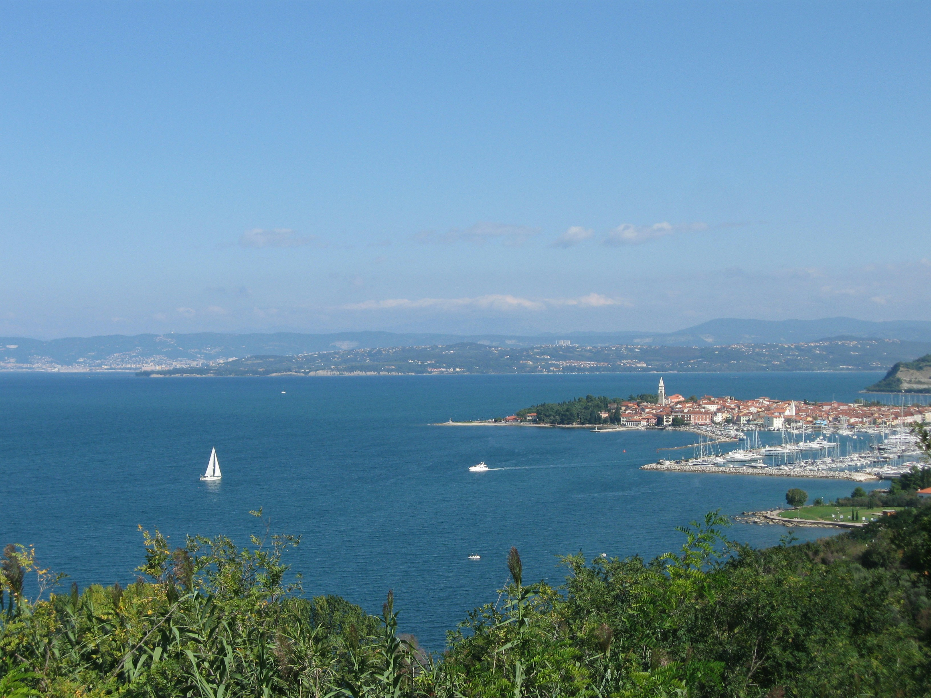 white sailboat on sea under blue sky during daytime