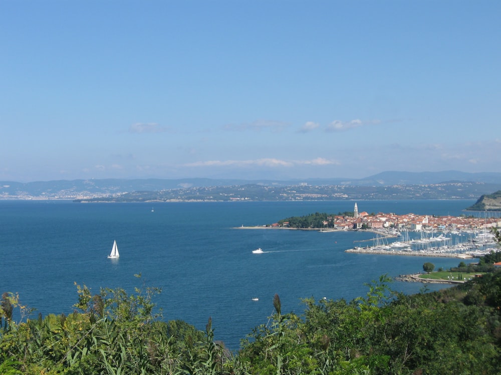 white sailboat on sea under blue sky during daytime