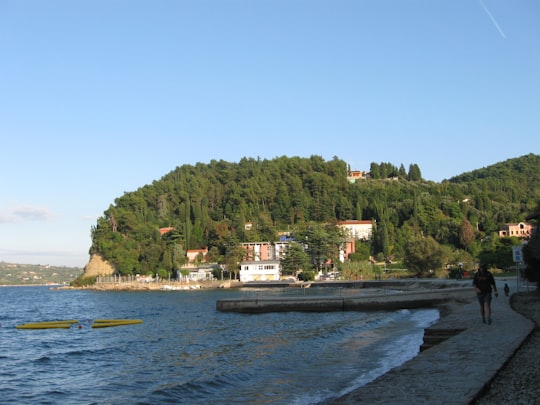 people riding on boat on river near green trees during daytime in Piran Slovenia