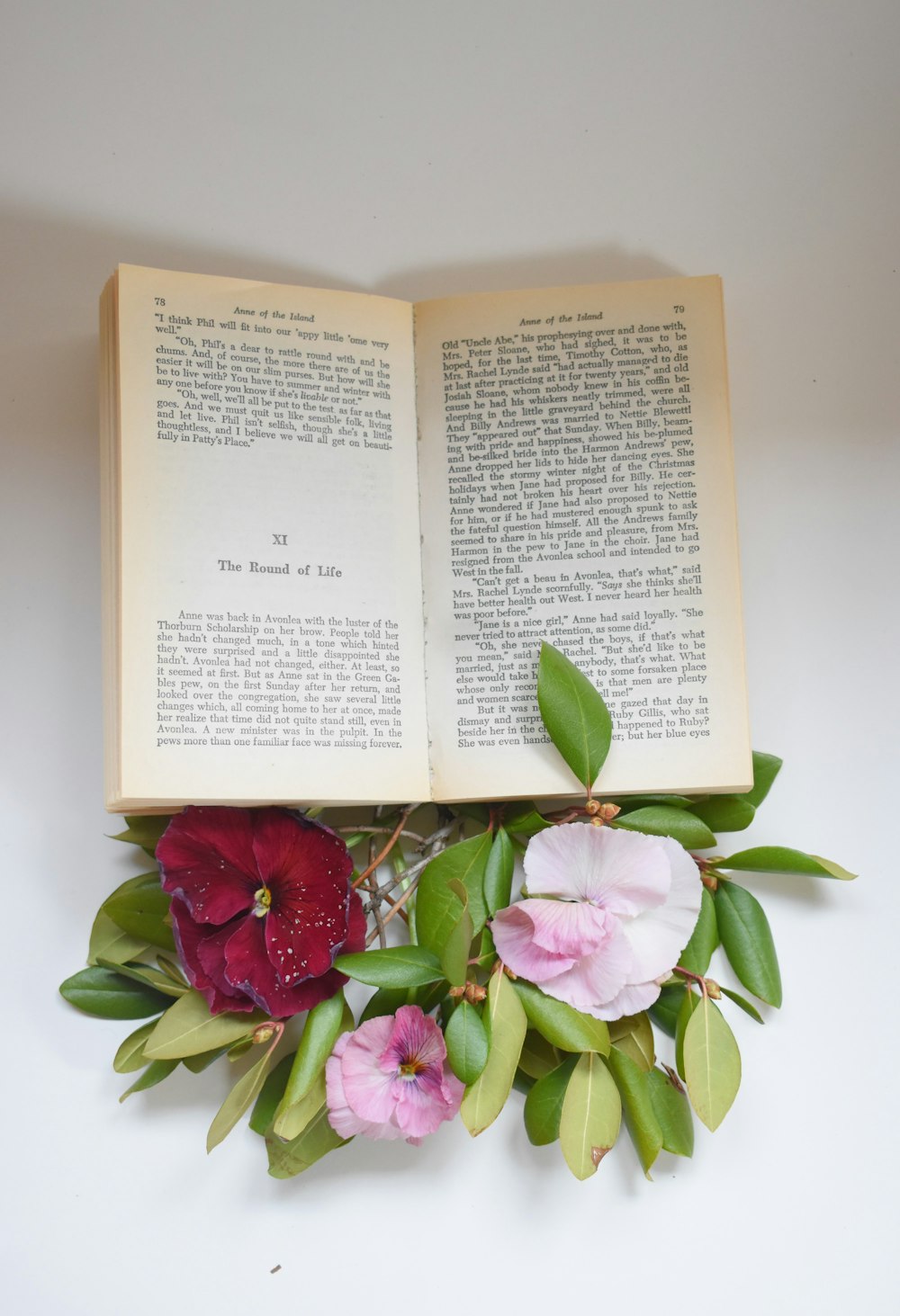 pink flowers on book page