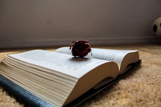 An open book lies on a soft, light-colored carpet. A dried rose is delicately placed on top of the pages, adding a touch of nostalgia and romance.