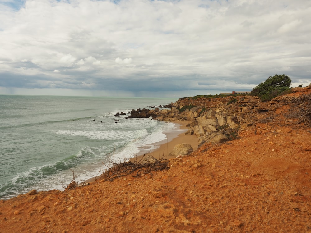 brown sand beach during daytime