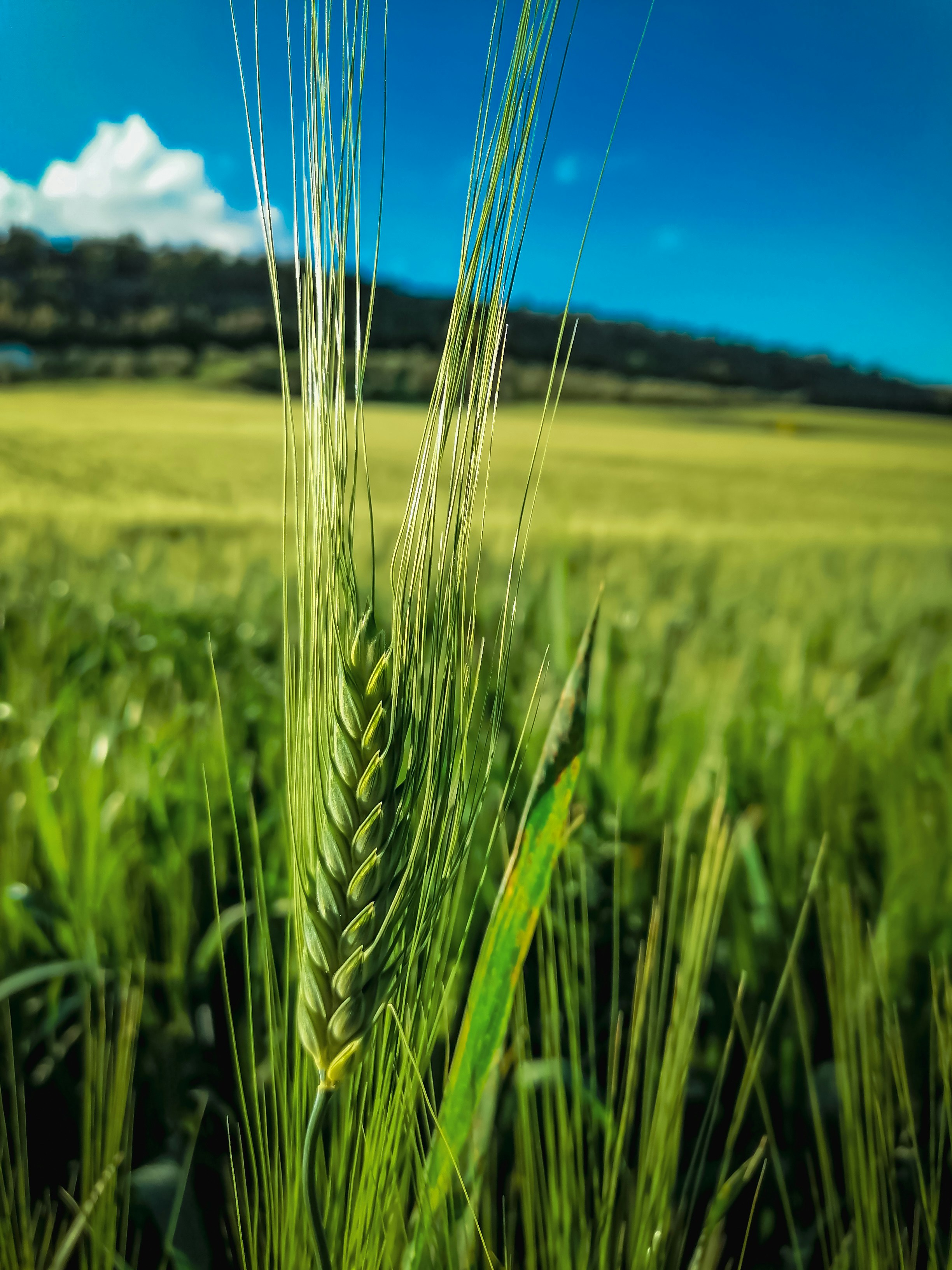 réseautage professionnel