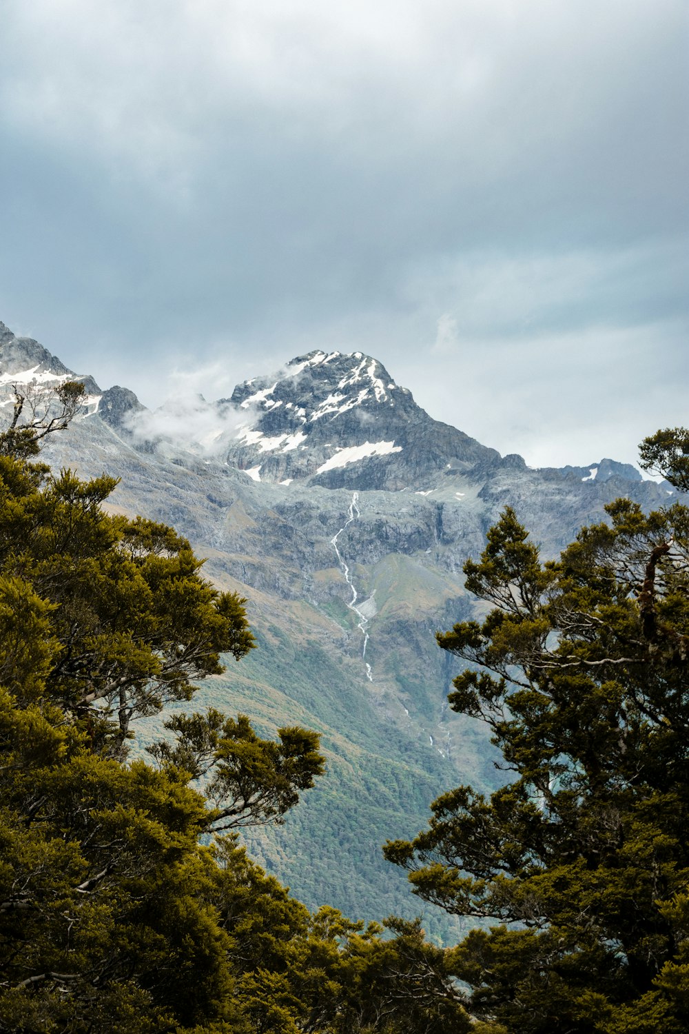 green trees near snow covered mountain during daytime