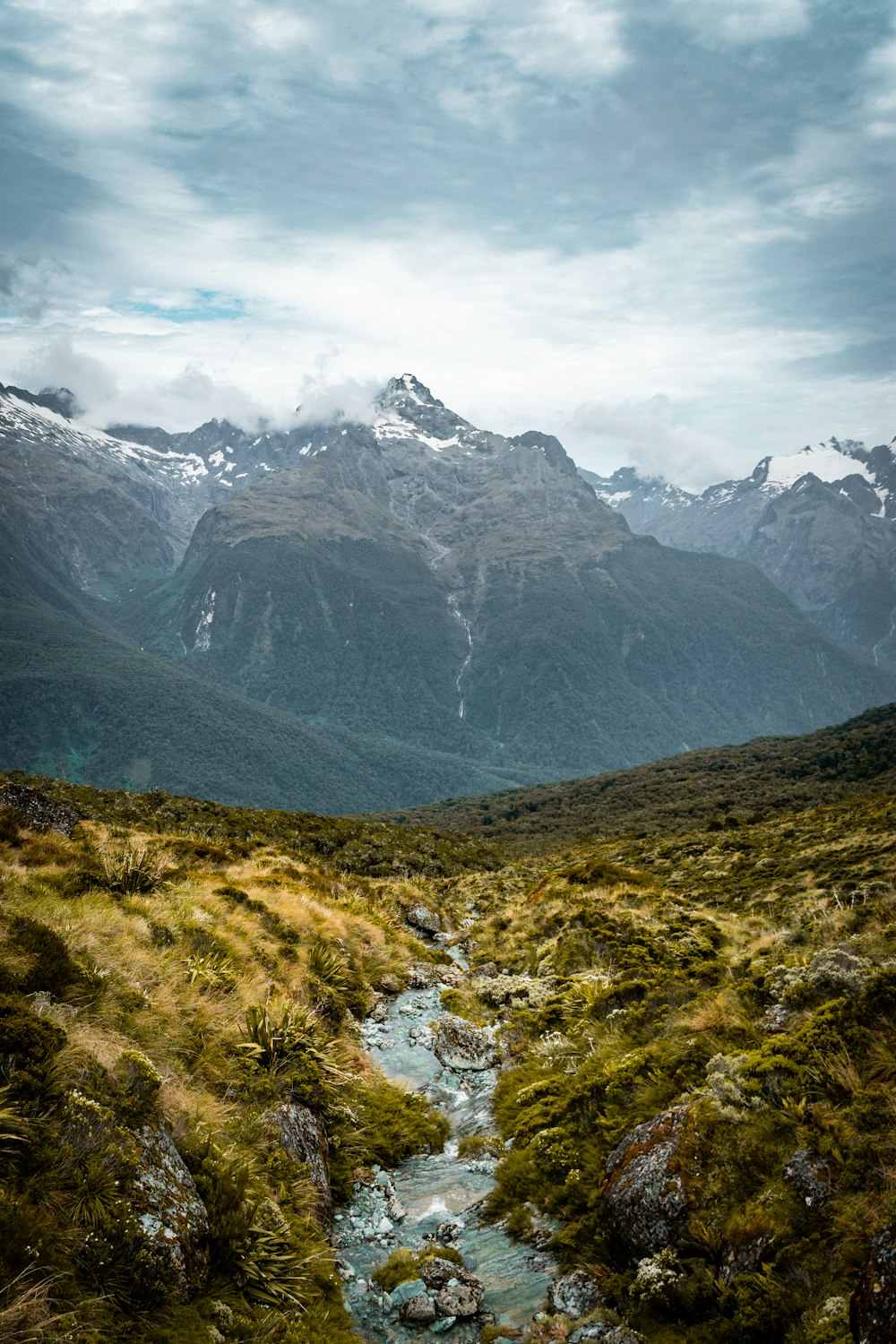 campo di erba verde e montagne durante il giorno