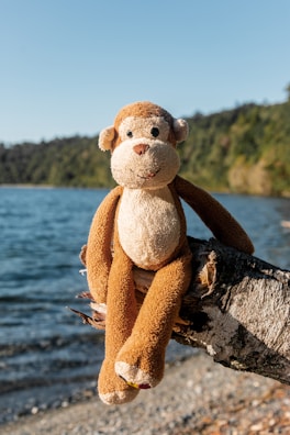 brown and white bear plush toy on black rock near body of water during daytime