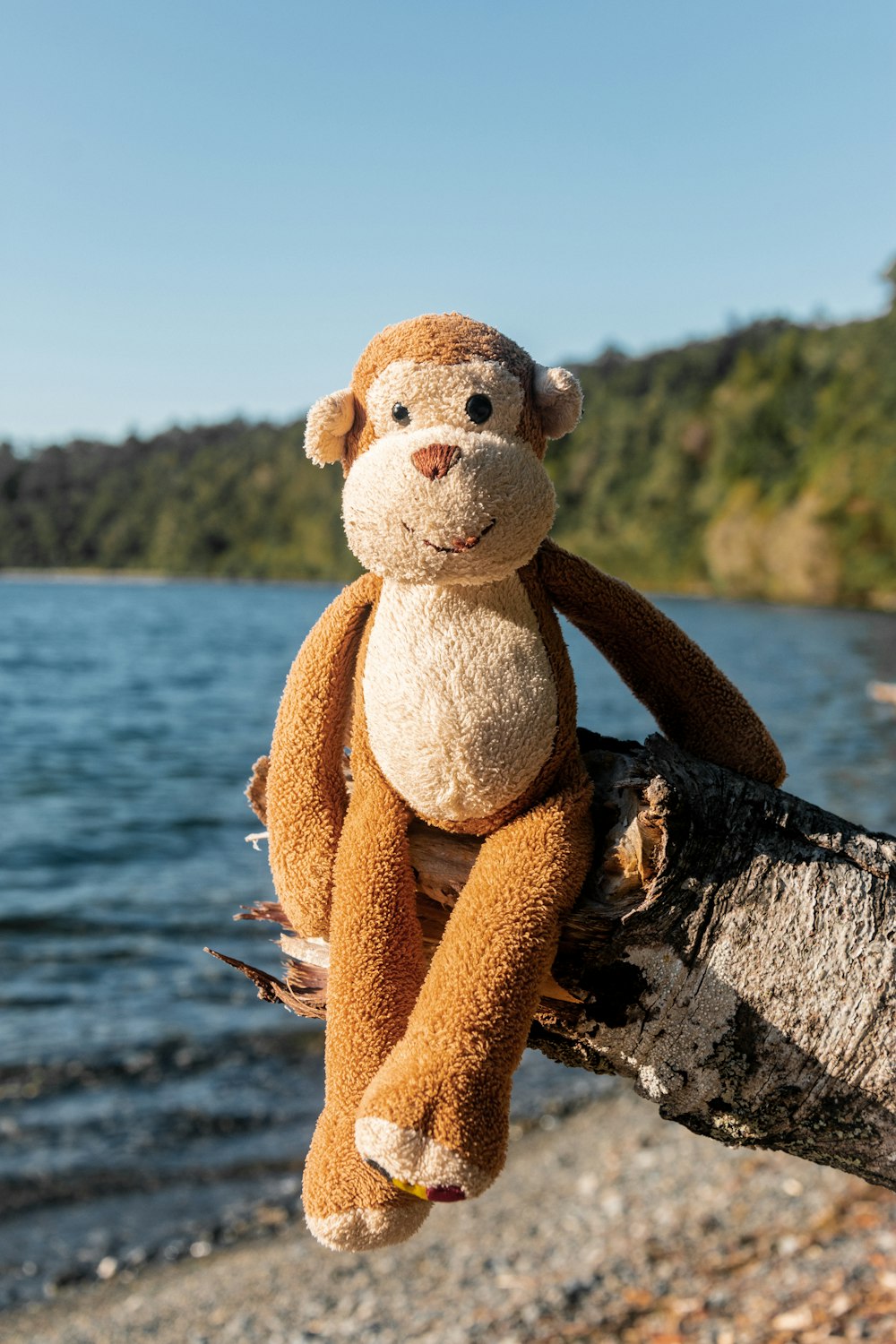 juguete de peluche de oso marrón y blanco en roca negra cerca del cuerpo de agua durante el día