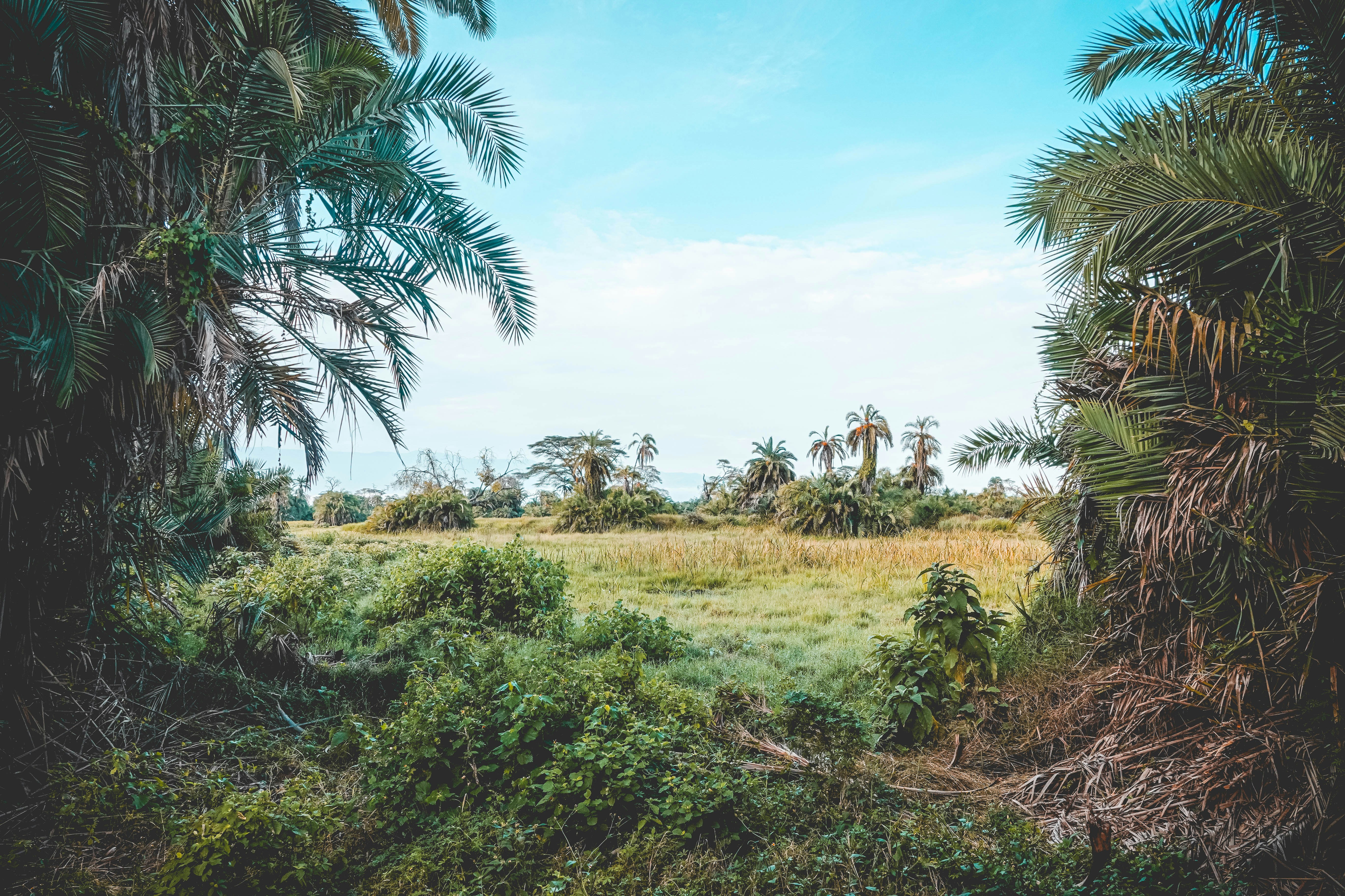 Photo by ksbphotography