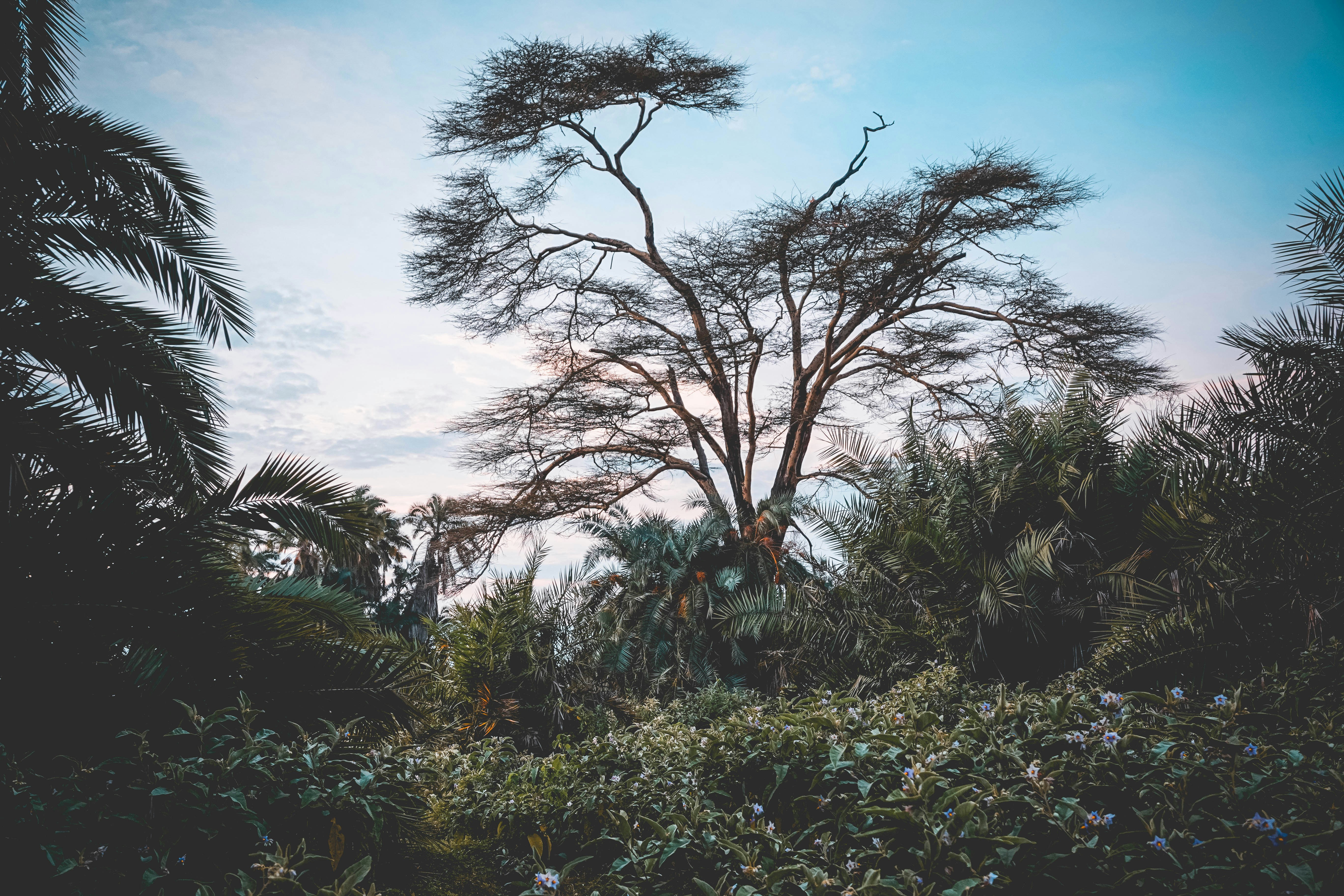 Photo by ksbphotography