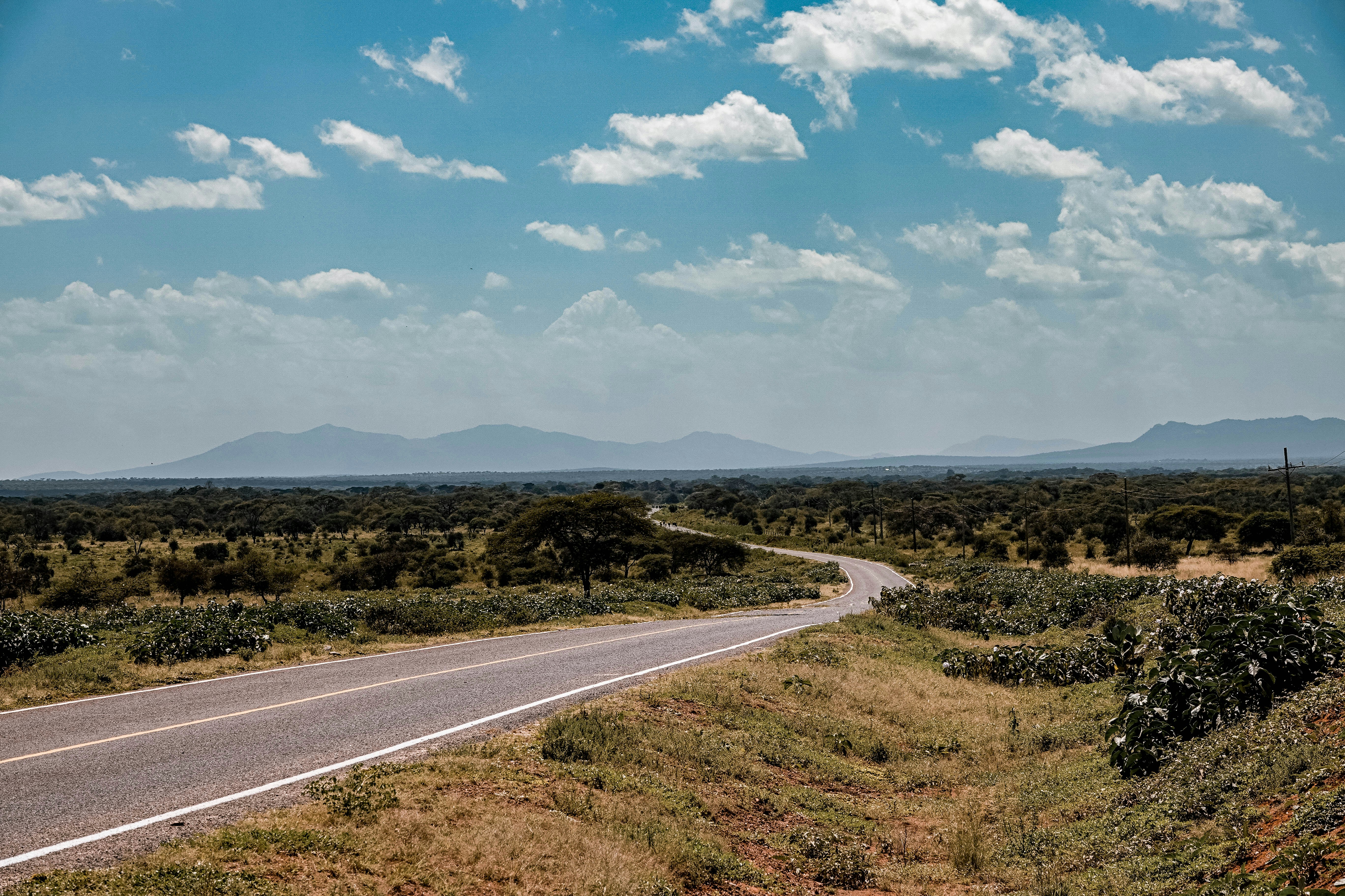 Photo by ksbphotography