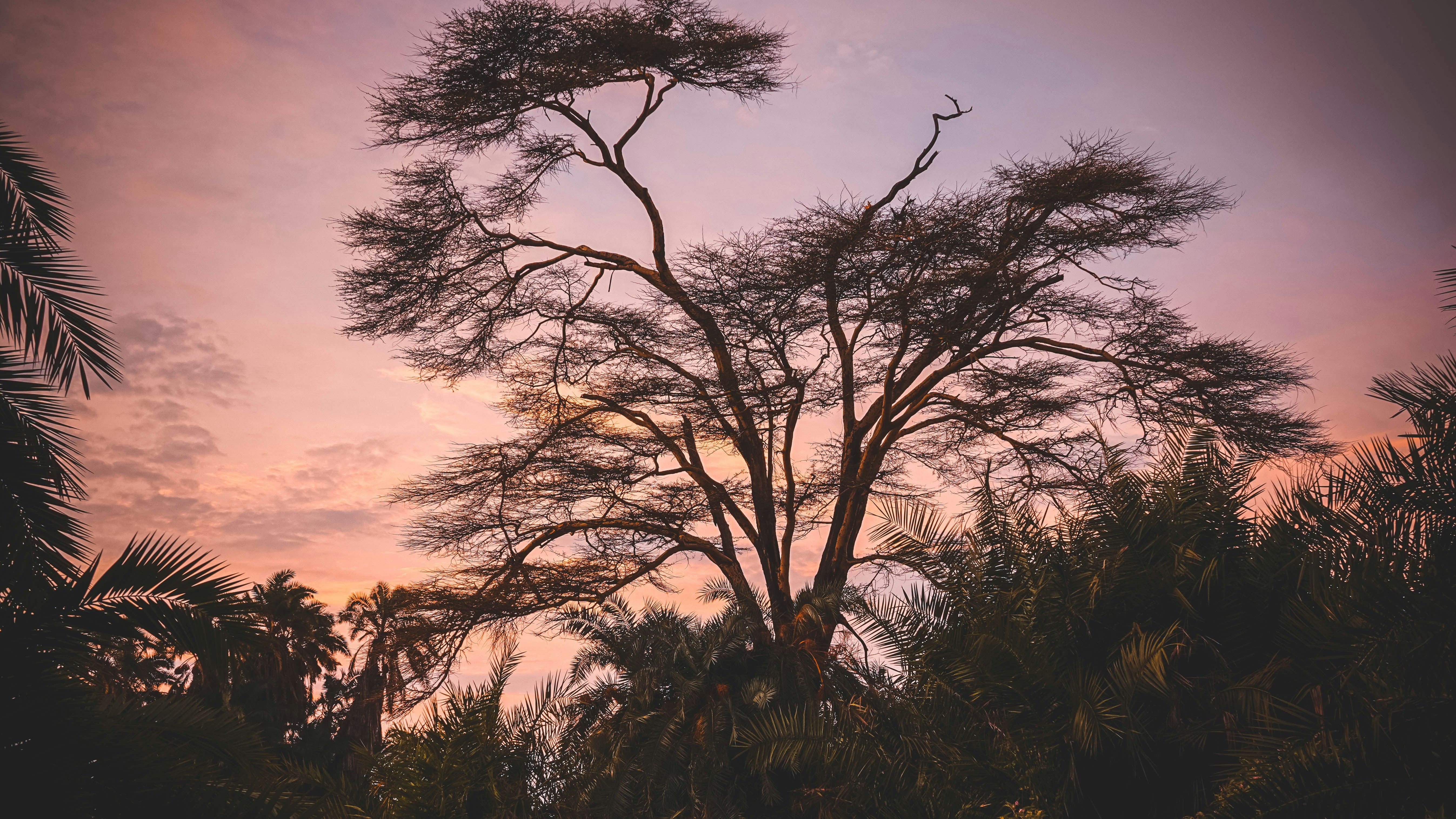 Photo by ksbphotography