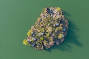 Aerial view of a small, densely vegetated island with numerous small buildings. The island is surrounded by calm green water, and the buildings appear rustic and slightly weathered. Trees and shrubs are interspersed among the structures, giving the island a lush and natural appearance.