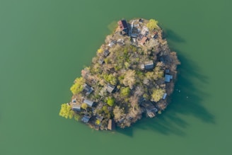 Aerial view of a small, densely vegetated island with numerous small buildings. The island is surrounded by calm green water, and the buildings appear rustic and slightly weathered. Trees and shrubs are interspersed among the structures, giving the island a lush and natural appearance.
