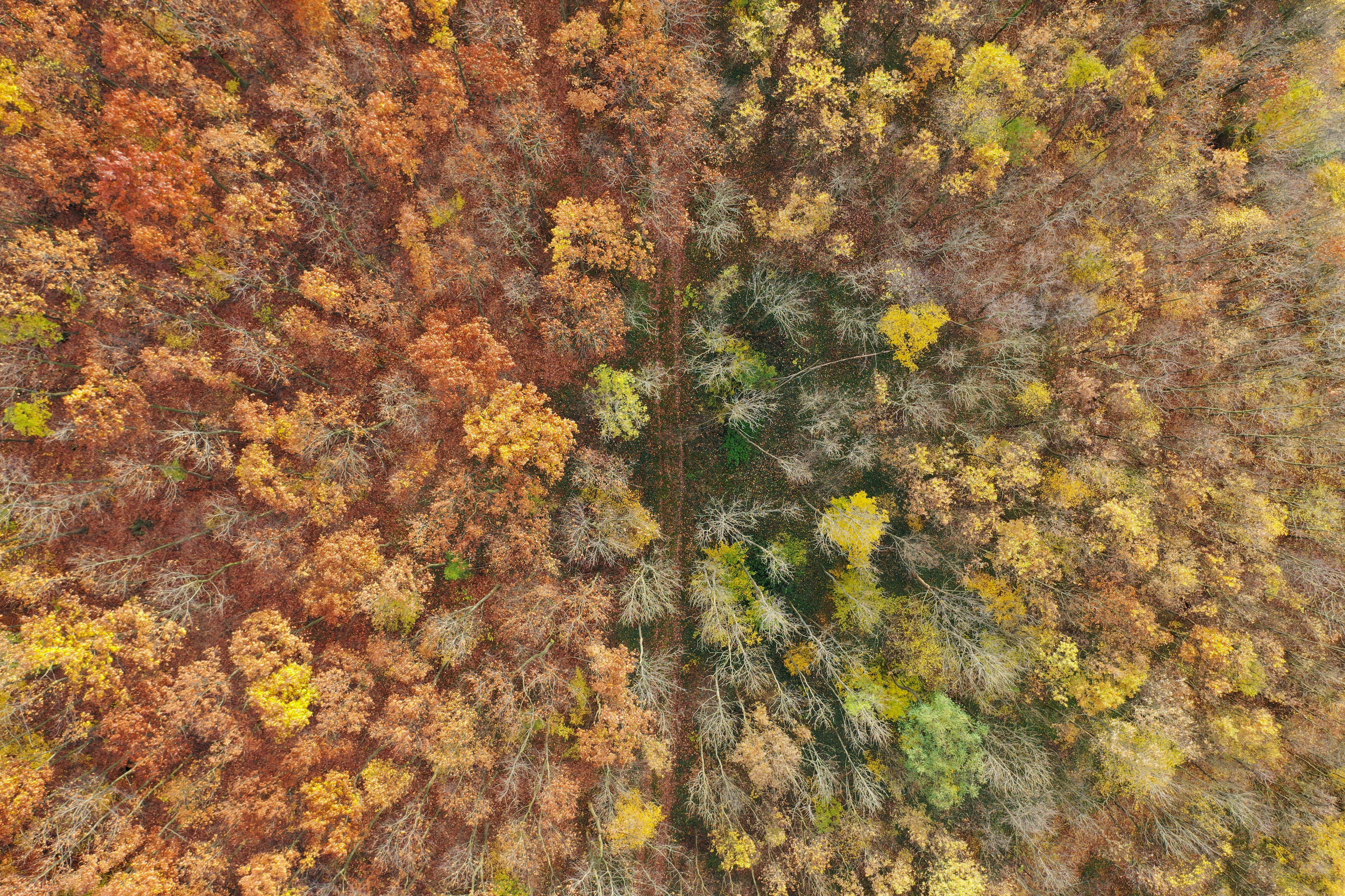 Photo by laszlooveges