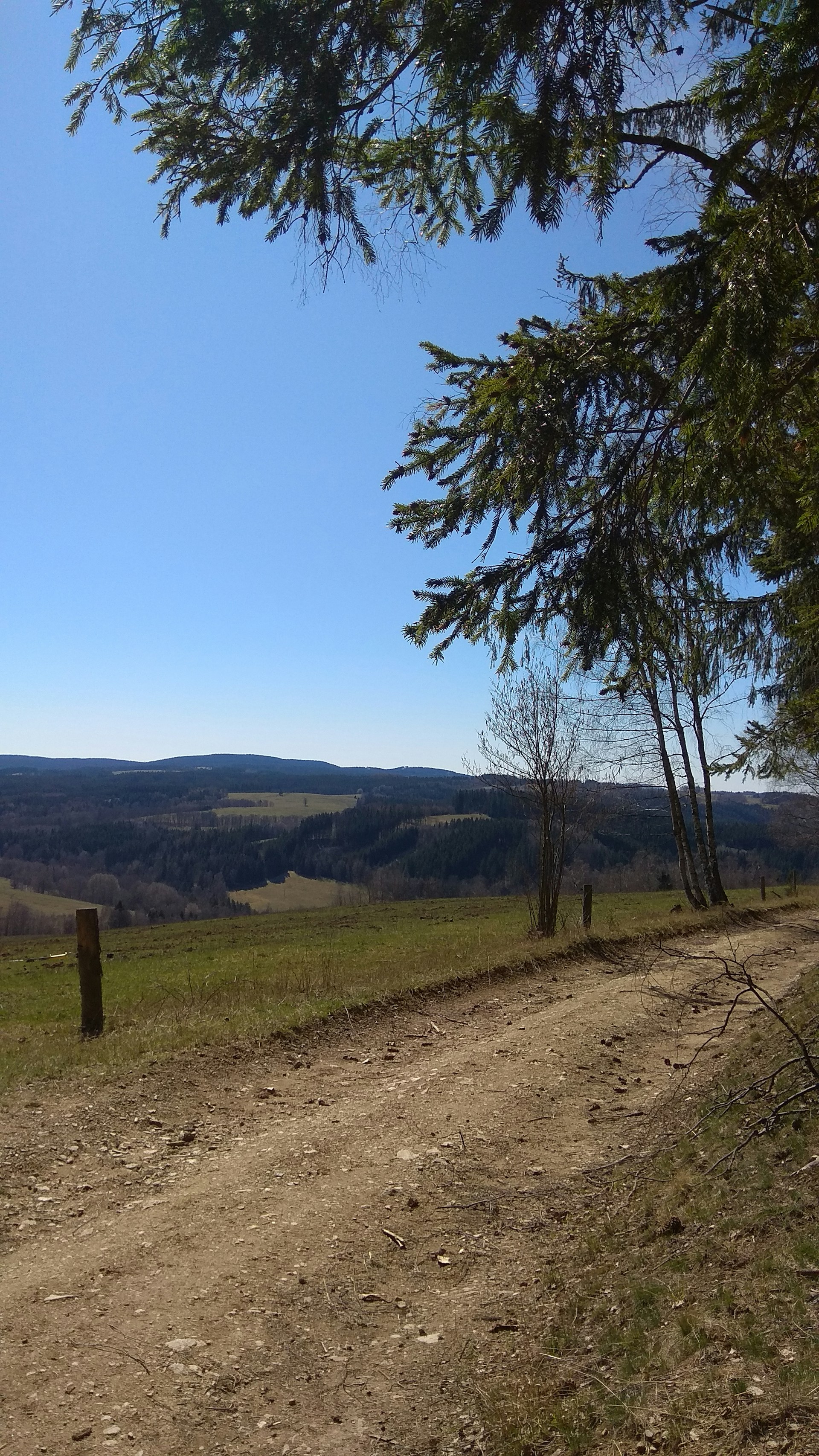 woman wearing yellow long-sleeved dress under white clouds and blue sky during daytime