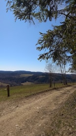A serene landscape featuring a dirt path winding through grassy fields, bordered by scattered trees. In the distance, rolling hills covered with forests stretch under a clear blue sky. A few wooden posts are visible along the path, providing a rustic and natural feel.
