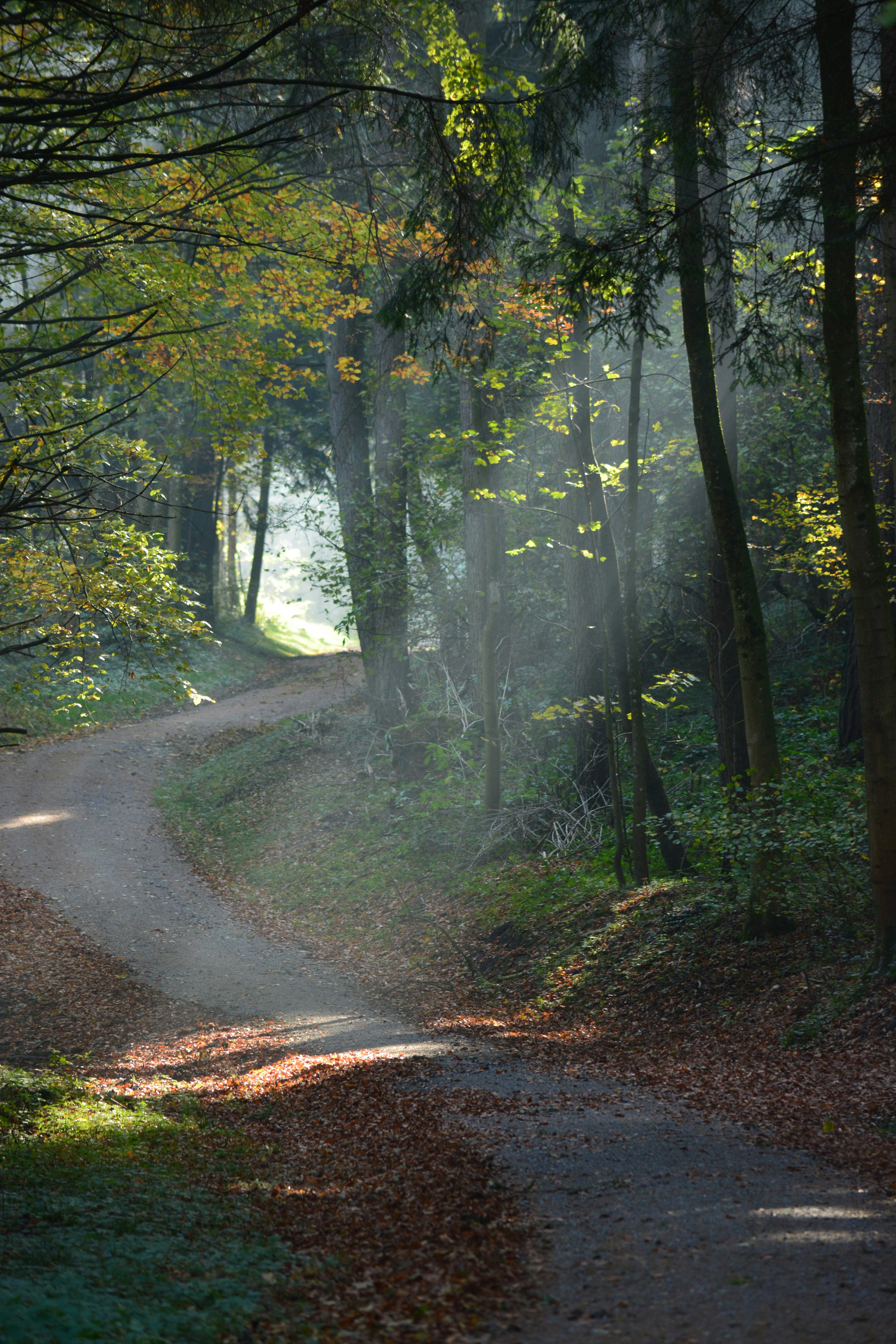 Photo by pedrino5_official