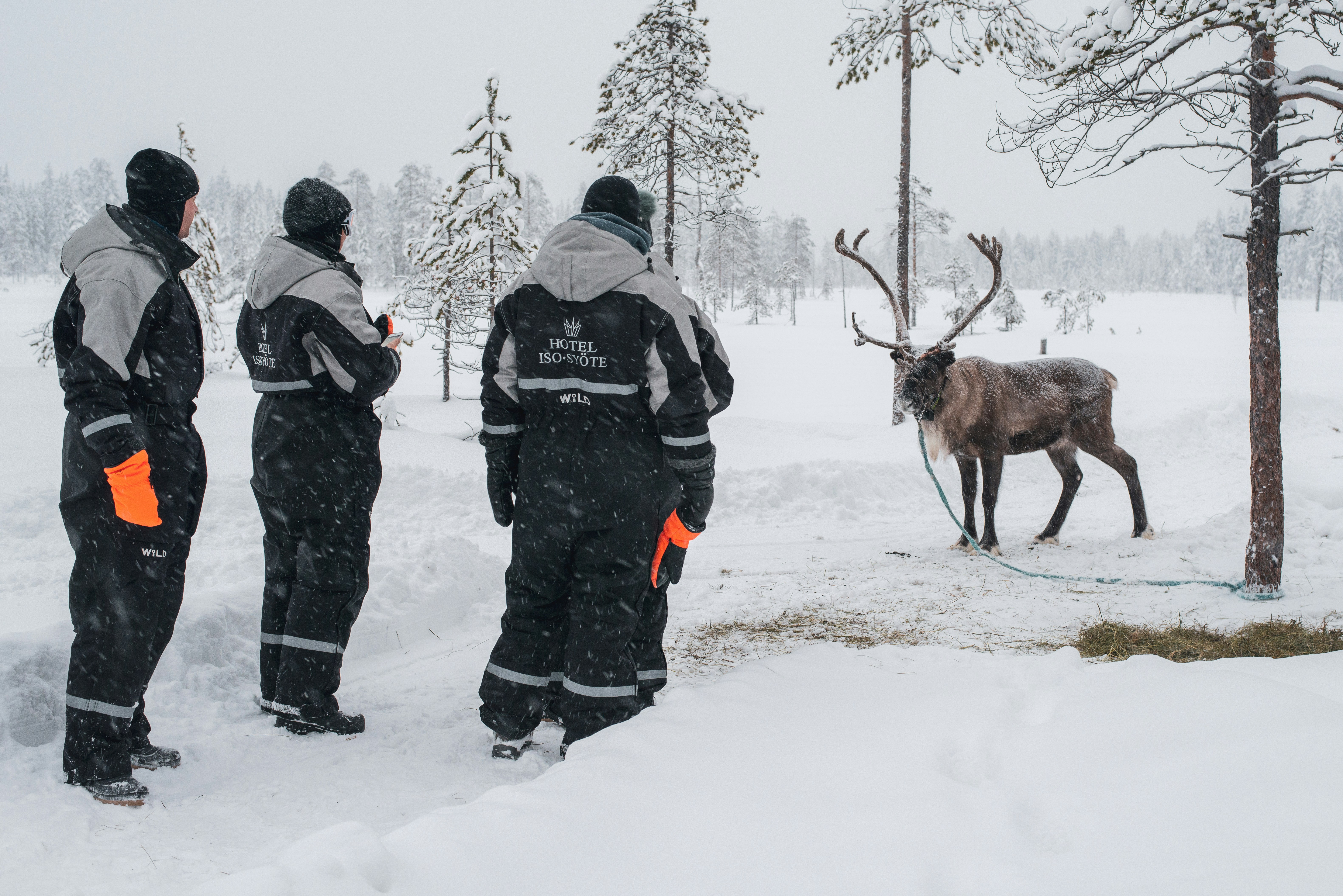 man in black jacket standing beside brown deer on snow covered ground during daytime