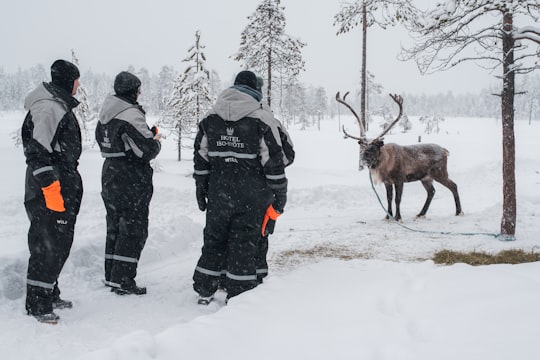 man in black jacket standing beside brown deer on snow covered ground during daytime in Iso-Syöte Finland