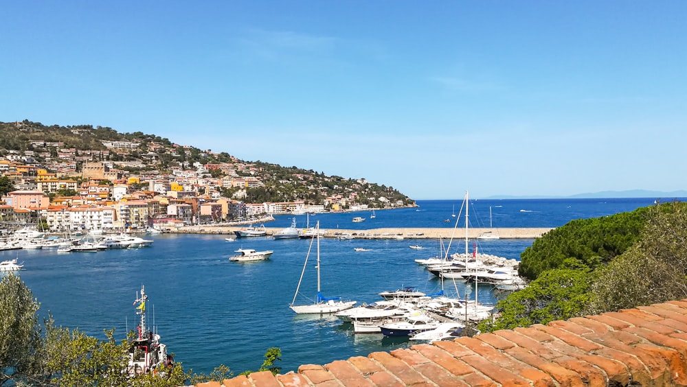 barche bianche sul molo durante il giorno