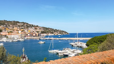 white boats on dock during daytime