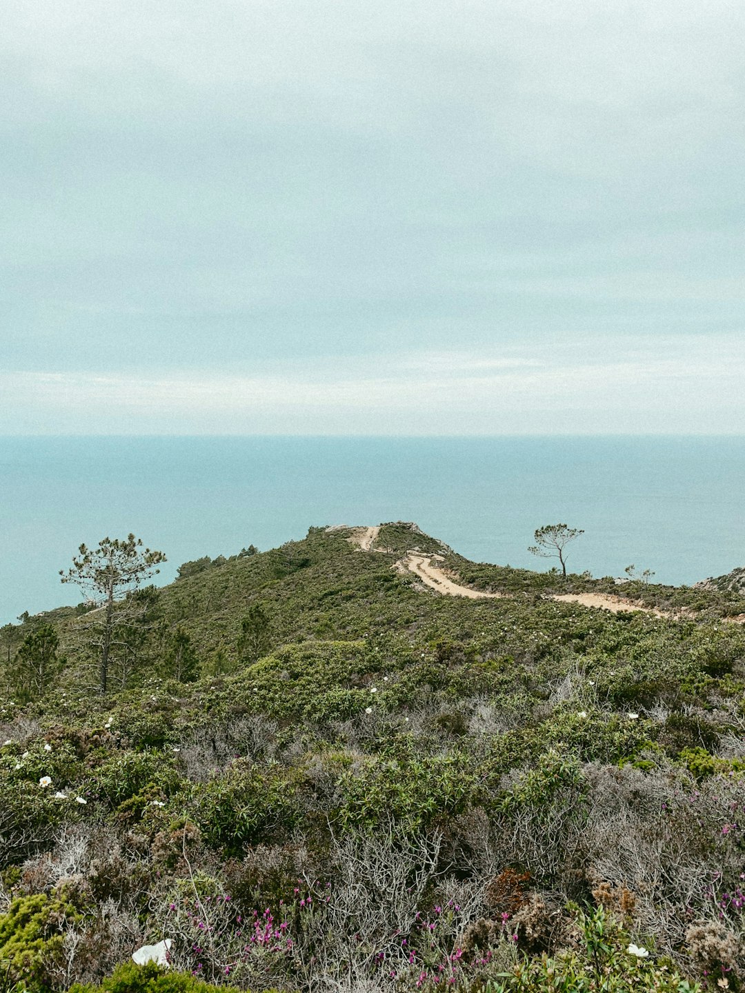 Hill photo spot Praia Grande Serra de Montejunto