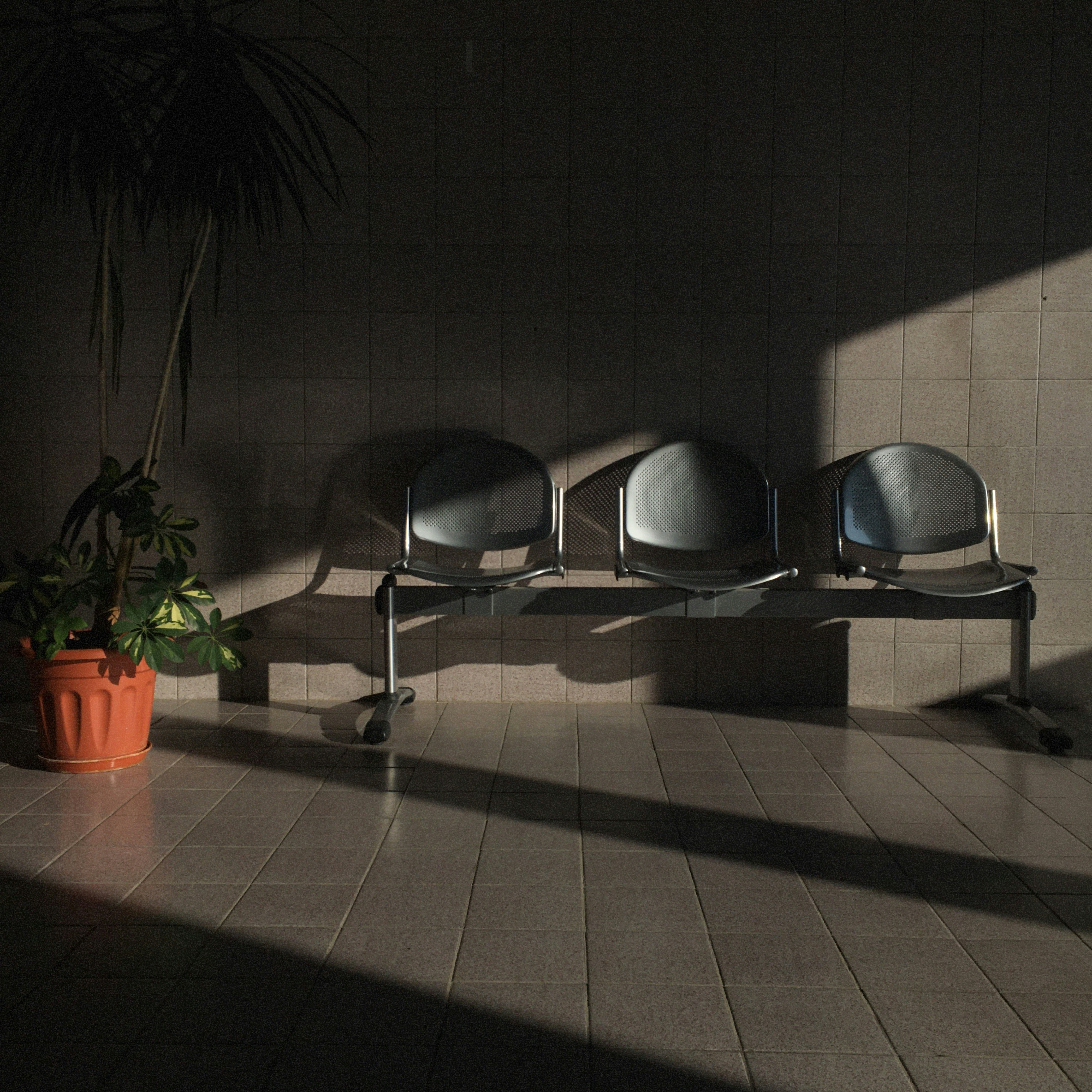 Pilsen – Food & Dining Culture