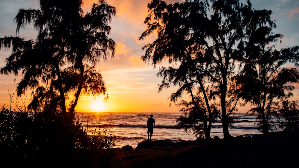 silhouette of person standing on beach during sunset