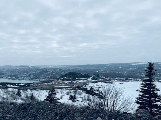 Signal Hill National Historic Site things to do in Tors Cove