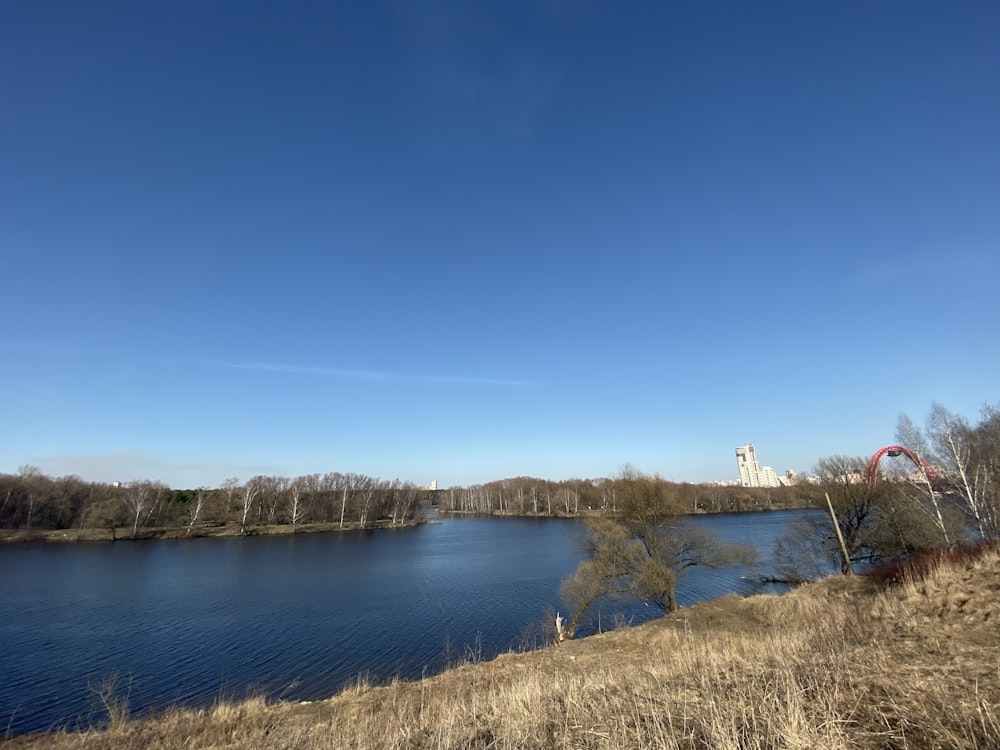 brown grass near lake under blue sky during daytime