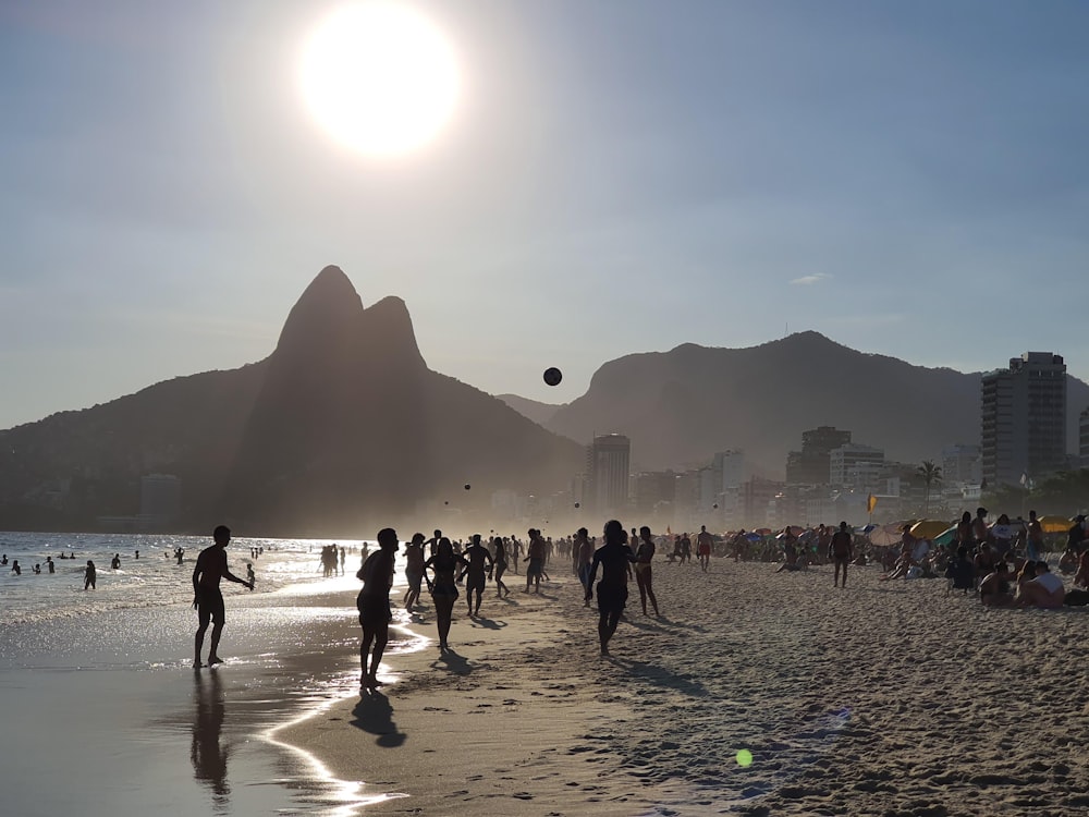 people on beach during daytime