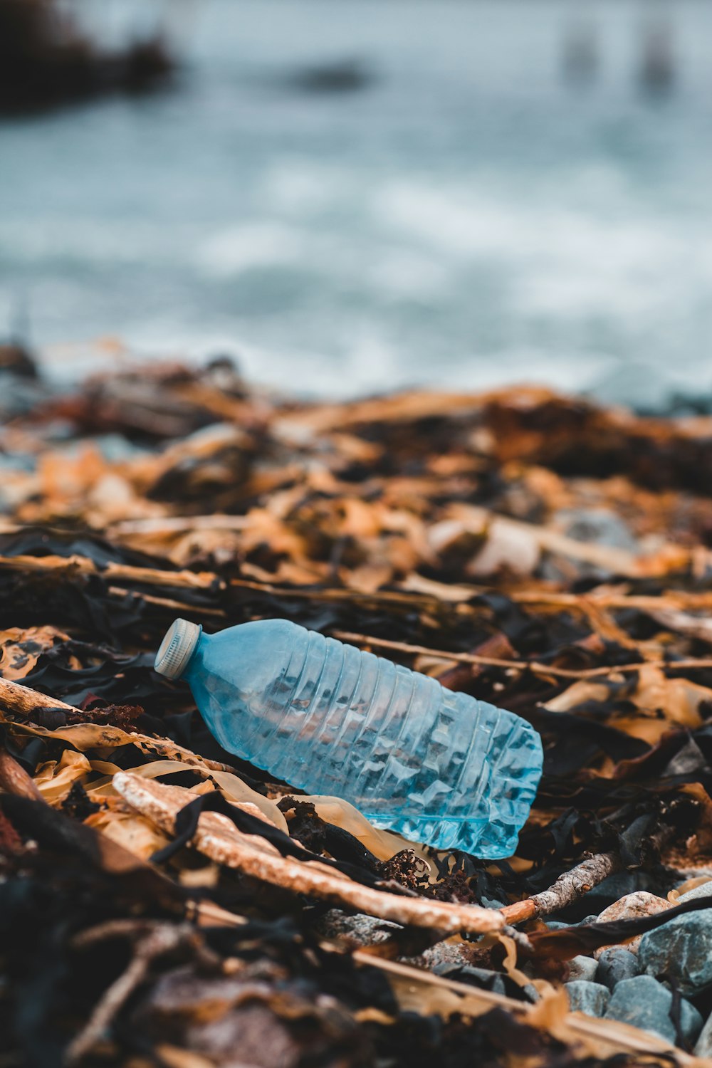 garrafa de plástico azul em folhas secas marrons