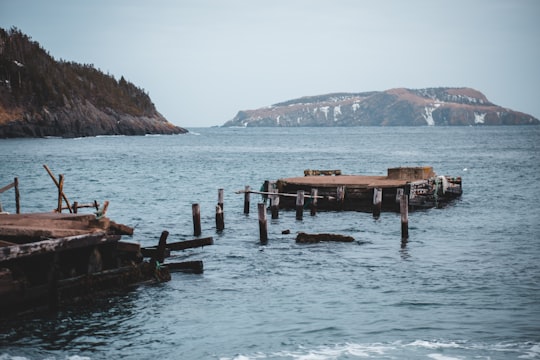 people sitting on brown wooden dock during daytime in Tors Cove Canada