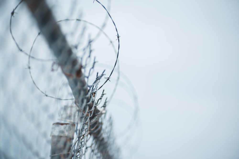 black wire fence with water droplets