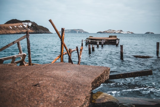 brown wooden dock on sea during daytime in Tors Cove Canada