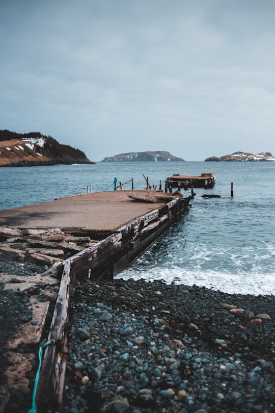 brown wooden dock on sea during daytime in Tors Cove Canada