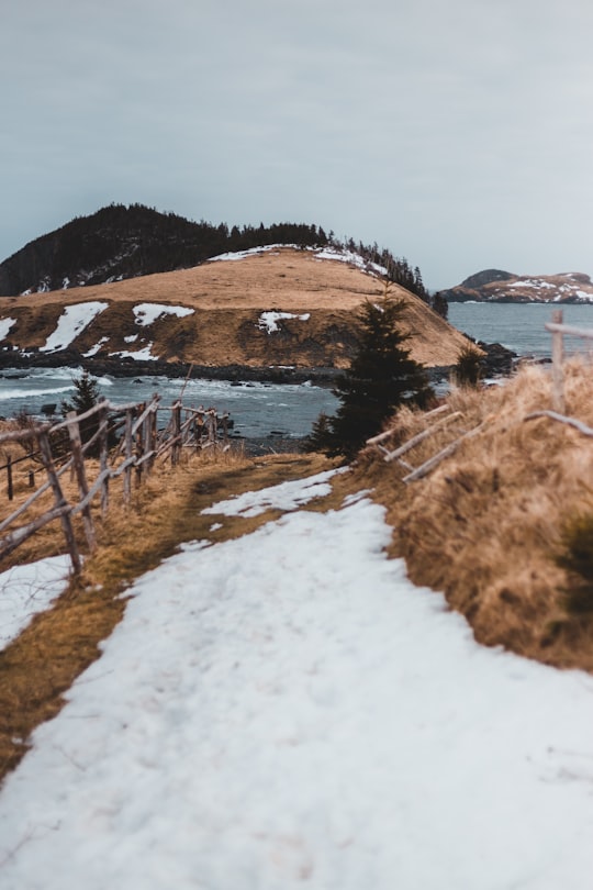 Tors Cove things to do in St. John's