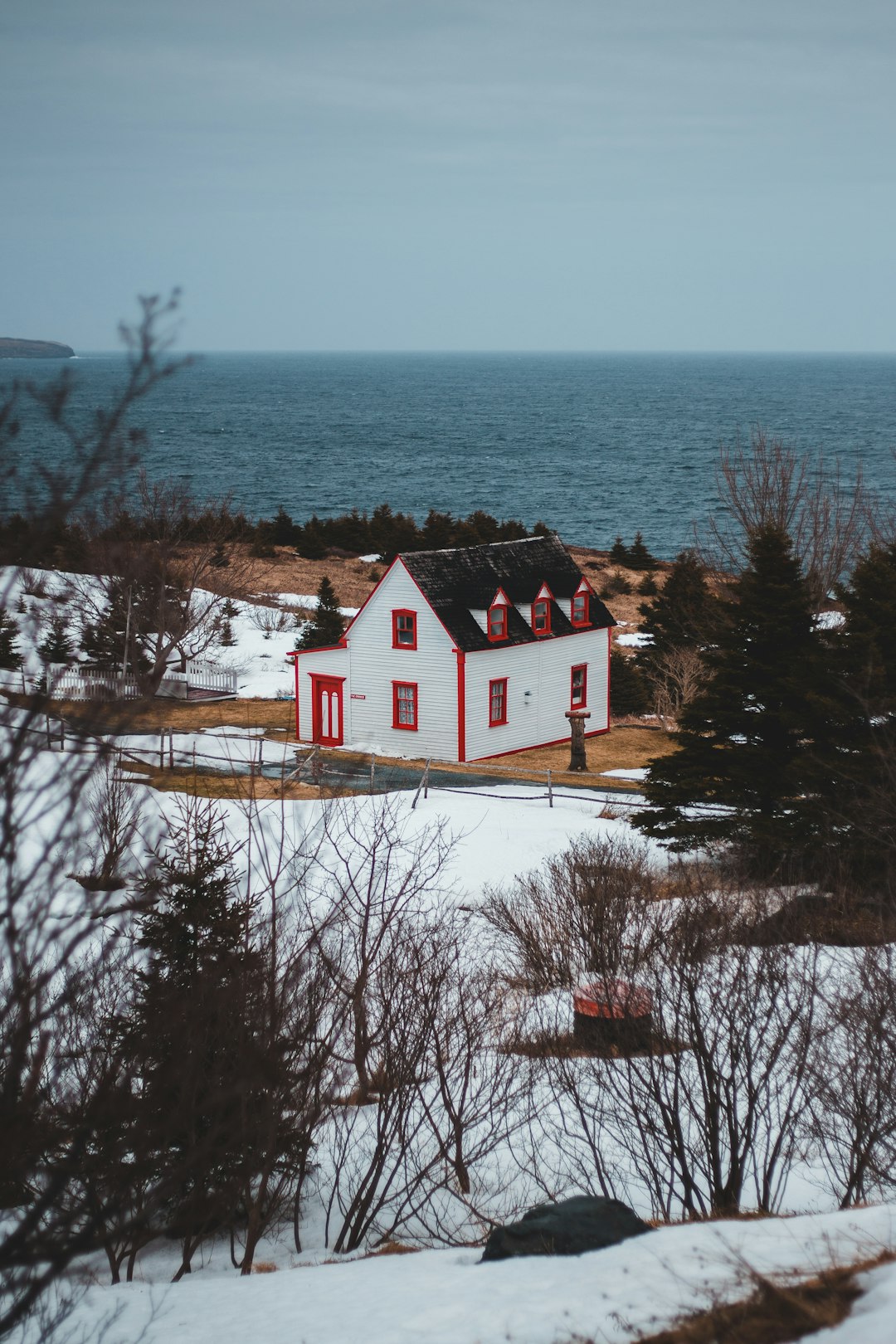 white and red house near body of water during daytime