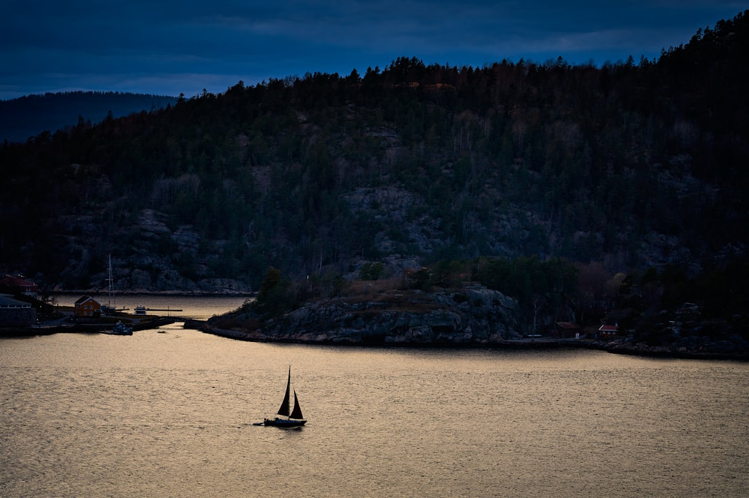 black sailboat on sea near green trees during daytime