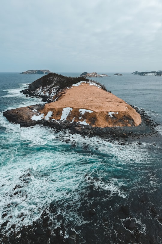 brown rock formation on sea during daytime in Tors Cove Canada