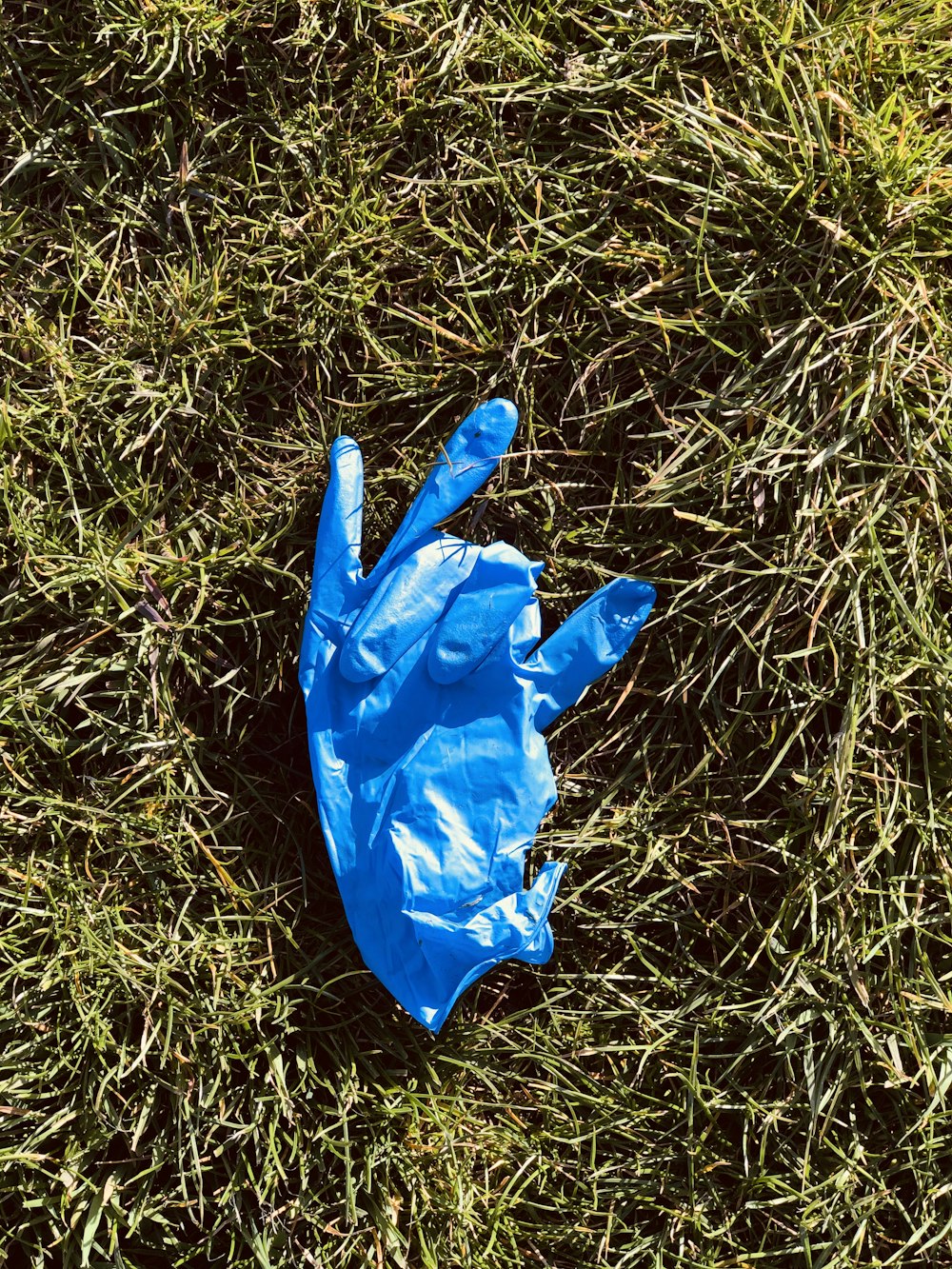 blue plastic bag on green grass