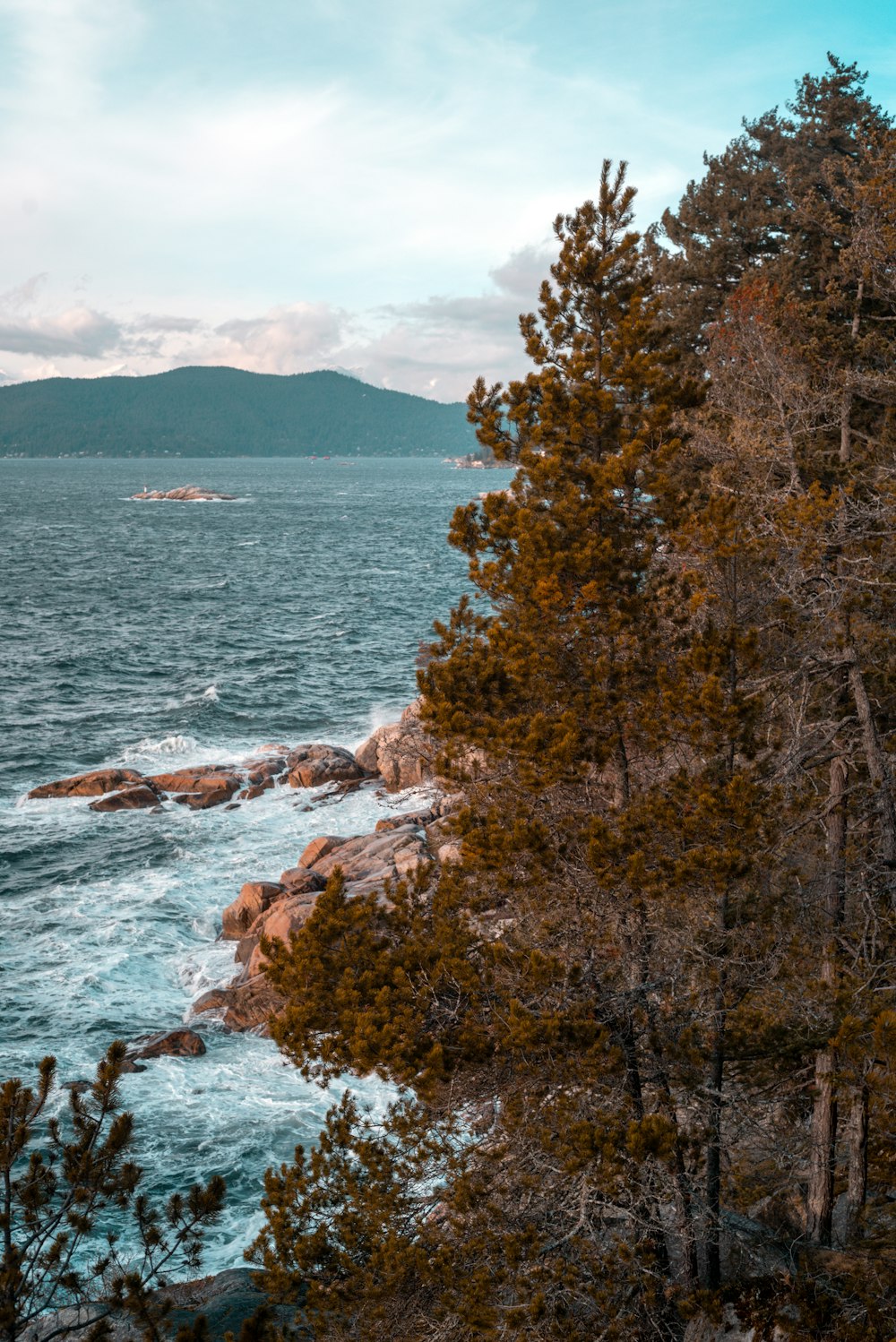 brown trees near body of water during daytime