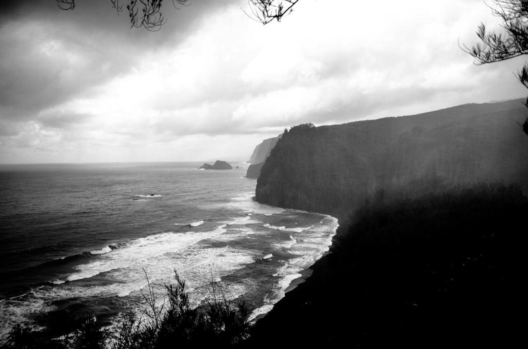 grayscale photo of ocean waves crashing on shore