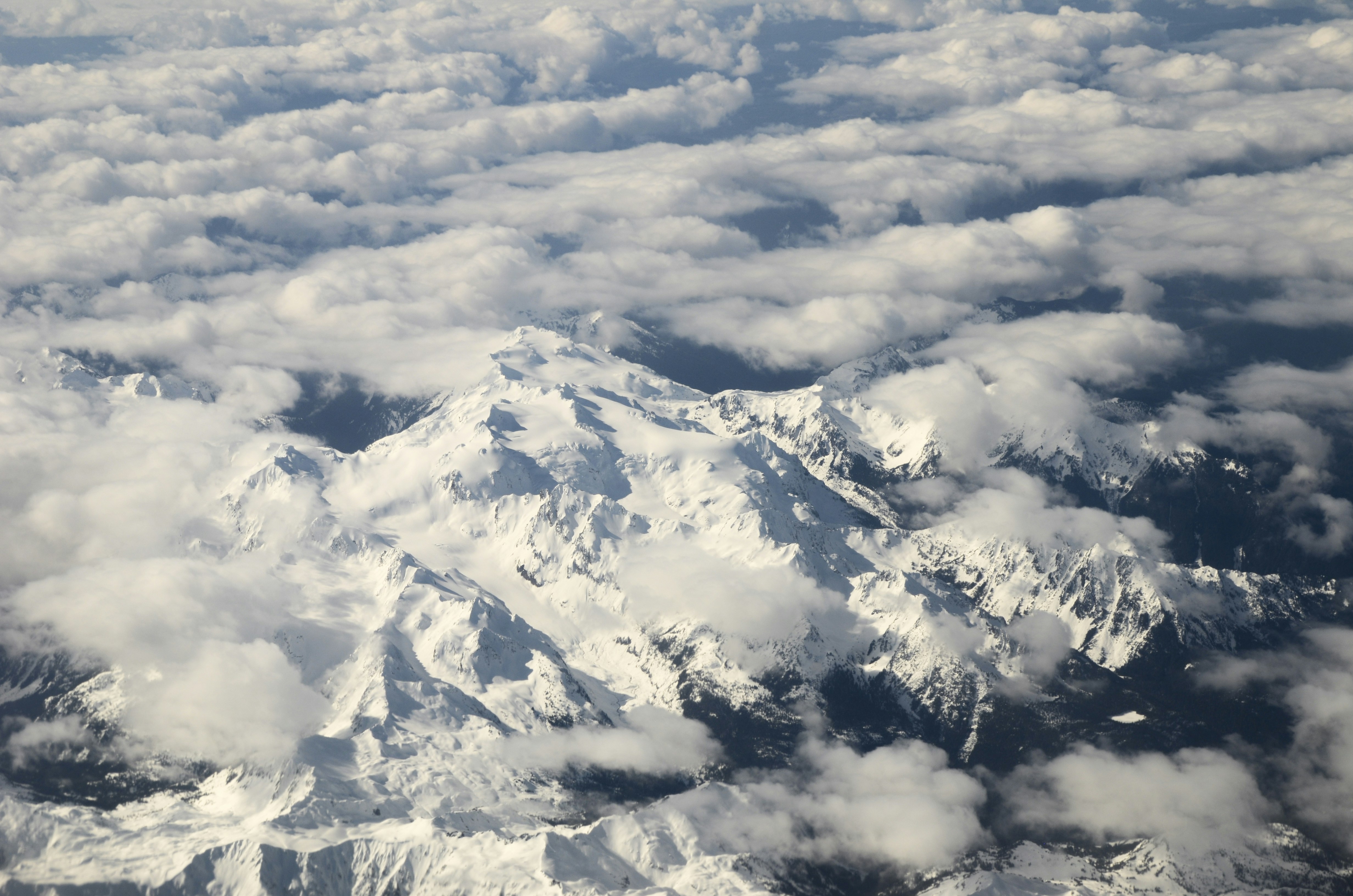KNN 알고리즘, 그림으로 이해하기