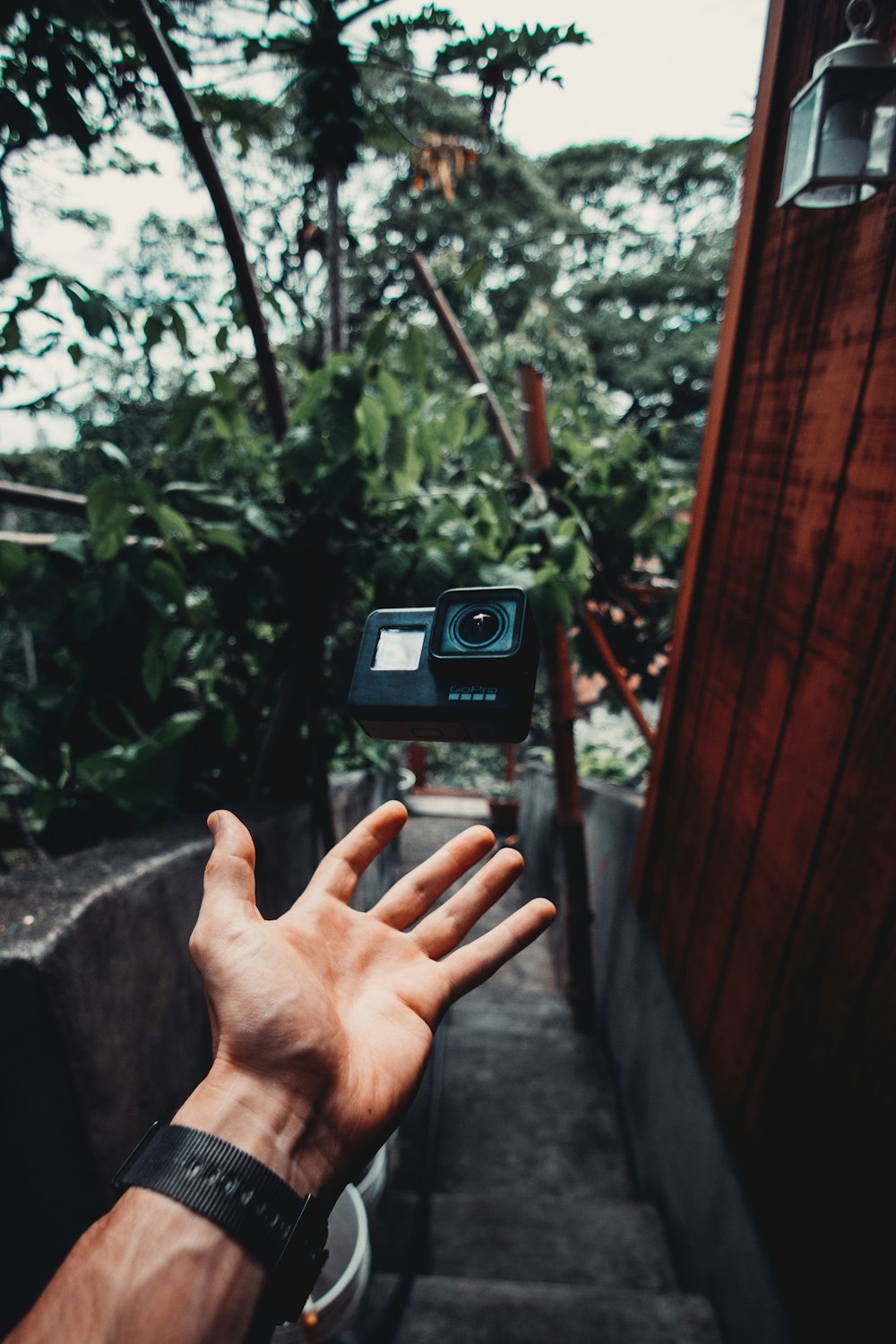 person holding black and gray camera