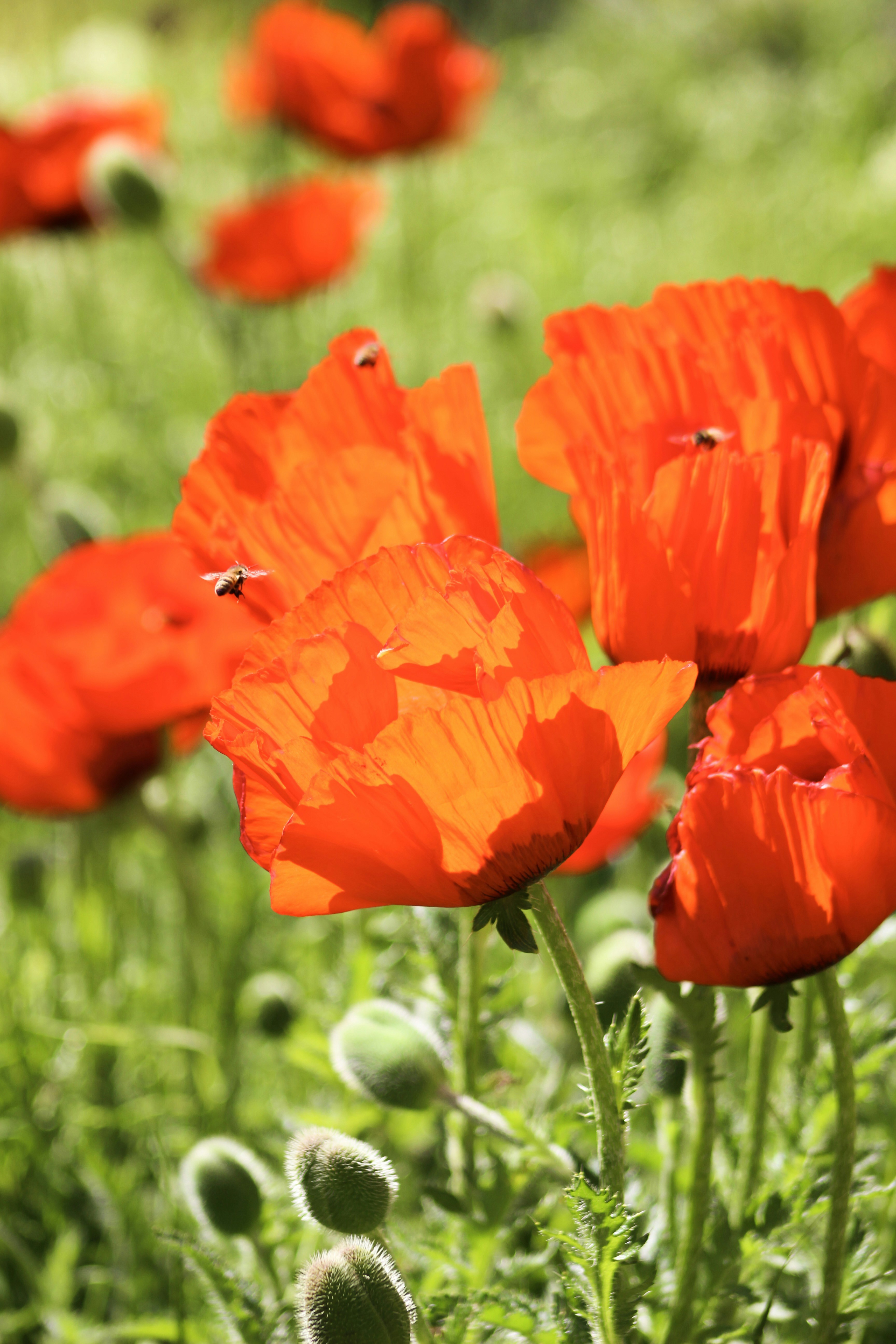 Photo by josephinemagleby01