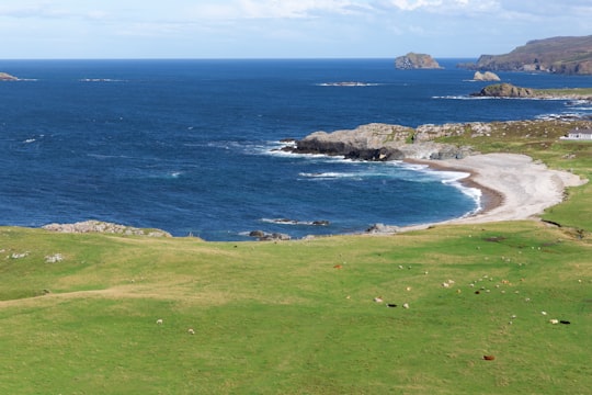 people on green grass field near body of water during daytime in Malin Head Ireland