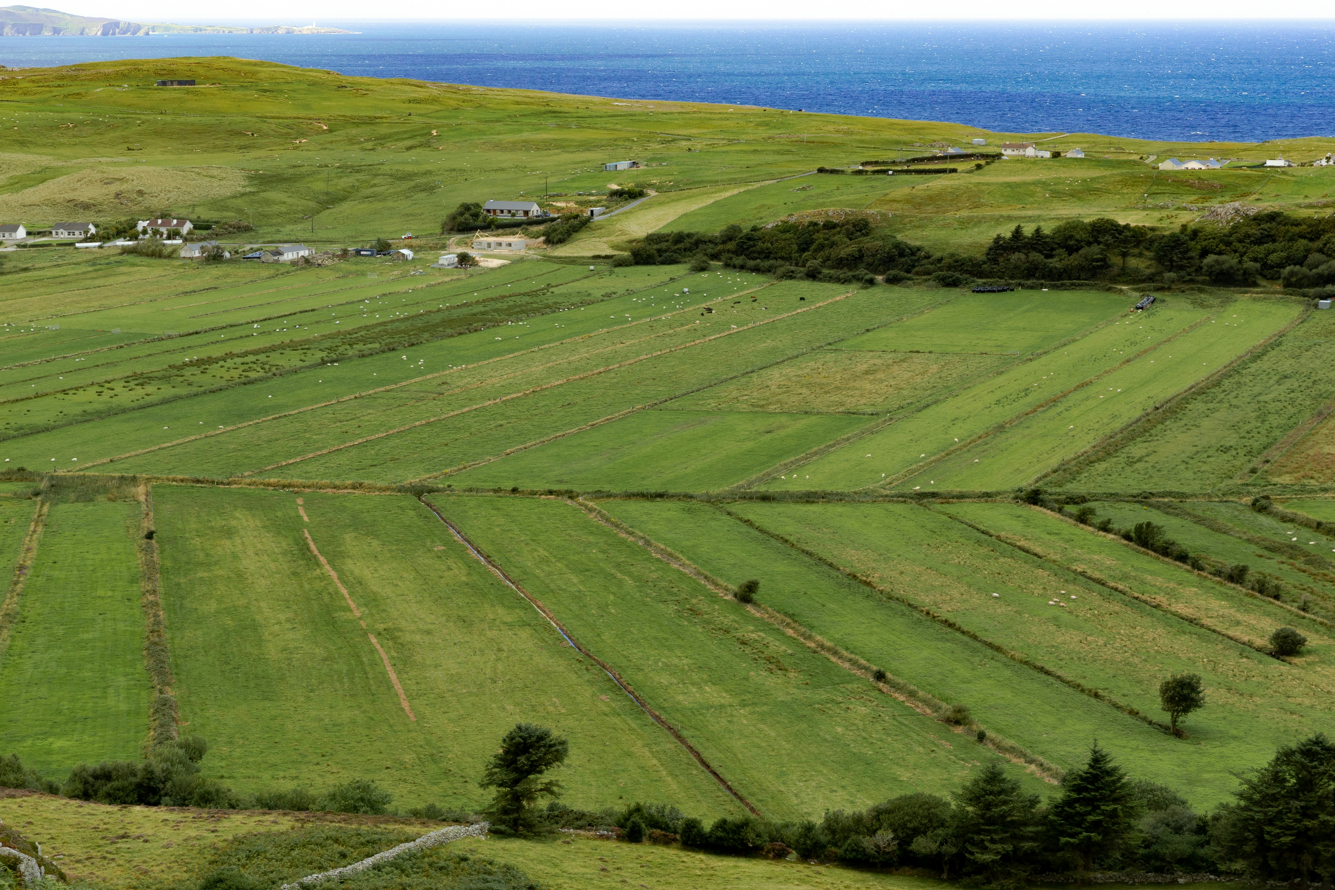 green grass field near body of water during daytime
