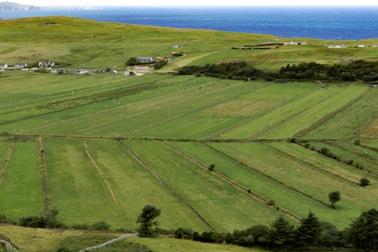 green grass field near body of water during daytime in Donegal Ireland