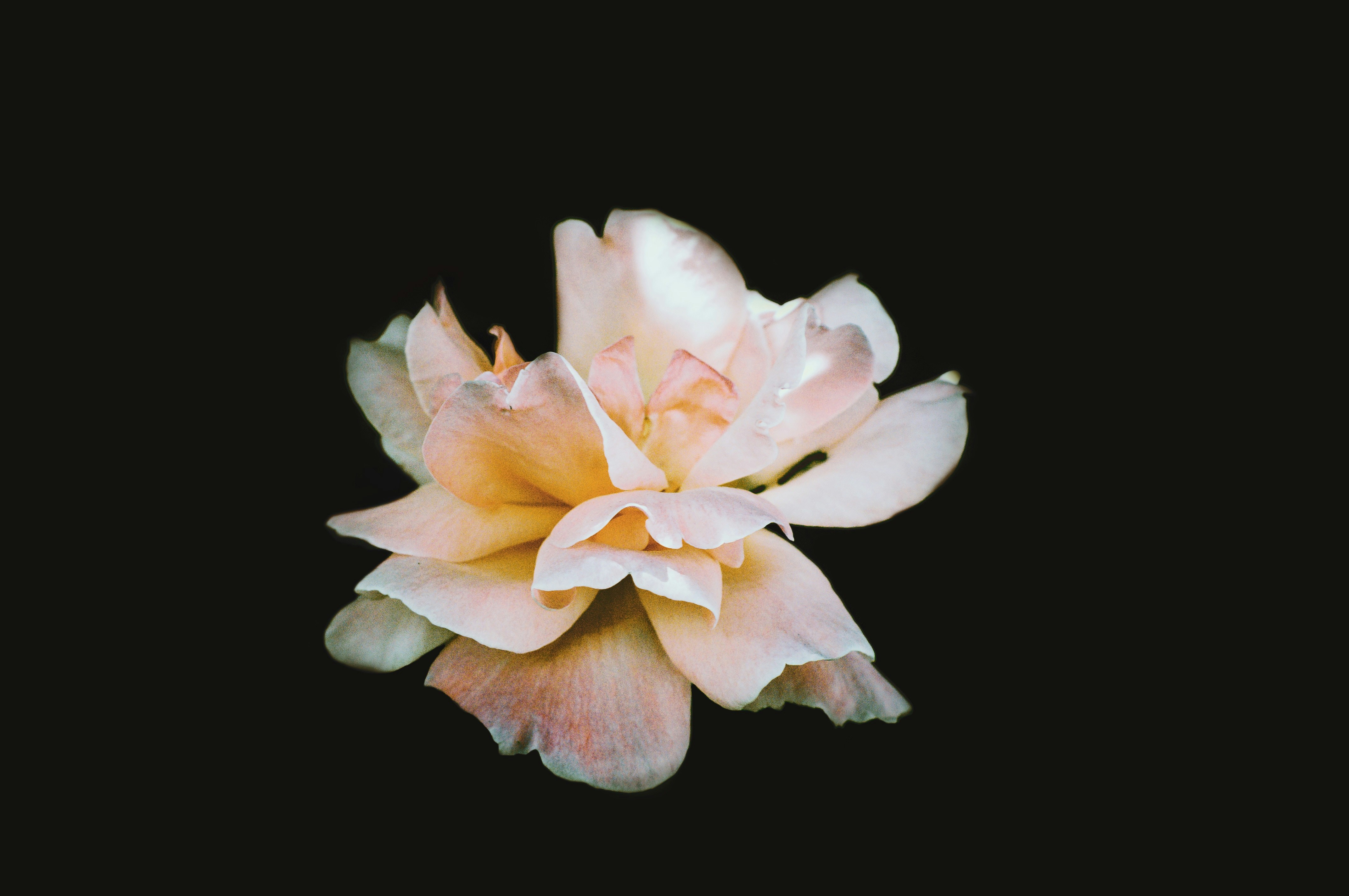 Photo by alexthehills